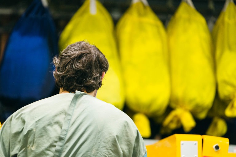 Un personnage aux cheveux bruns ondulés, vu de dos, porte une blouse verte. A l'arrière-plan, plusieurs gros sacs jaunes sont suspendus en rang, dont un grand sac bleu à l'extrême gauche. La scène évoque les efforts assidus des Héros Méconnus du CH d'Angoulême dans ce cadre de laboratoire ou industriel.