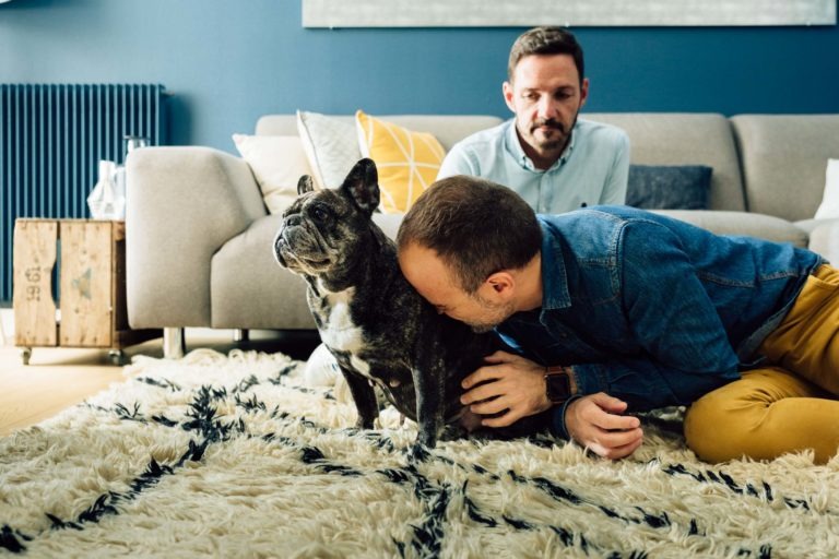 Deux hommes sont dans un salon ; l'un d'eux caresse un bouledogue français sur un tapis moelleux, affichant un amour inconditionnel, tandis que l'autre est assis sur un canapé en arrière-plan. L'homme sur le tapis porte une chemise bleue et l'homme sur le canapé porte une chemise bleu clair. La pièce est dotée d'un mur bleu et d'un canapé gris avec un coussin jaune.