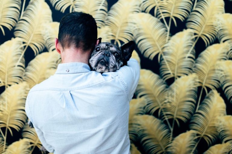 Une personne aux cheveux courts, vêtue d'une chemise bleu clair, tient un bouledogue français noir et blanc. Le visage du chien repose sur l'épaule de la personne, regardant vers la caméra avec une expression d'amour inconditionnel. L'arrière-plan présente un motif proéminent de feuilles de fougère jaunes sur un fond noir.