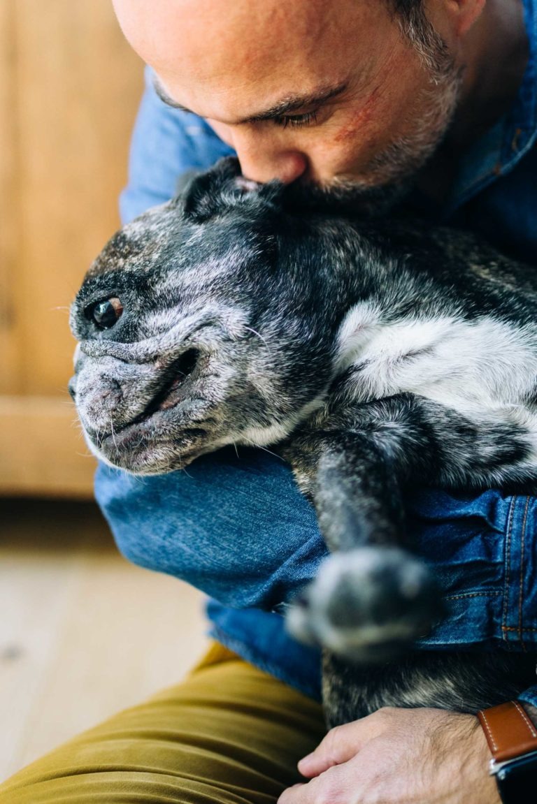 Un homme barbu et chauve, vêtu d'une chemise bleue, embrasse et enlace avec amour un chien tigré détendu avec une tache blanche sur la poitrine. Le chien est confortablement allongé dans les bras de l'homme, les yeux mi-clos, montrant un signe de contentement, montrant leur lien d'amour inconditionnel. L'arrière-plan est une surface en bois floue.