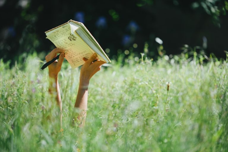 Une paire de mains tient un livre ouvert et un stylo au-dessus d'un champ de hautes herbes vertes. Les pages du livre contiennent des croquis et des notes manuscrites. L'arrière-plan, légèrement flou, suggère un cadre extérieur luxuriant filtré par la lumière naturelle - une scène sereine parfaite pour une performance musicale du duo Altalina inspirée par la beauté de la Gironde.