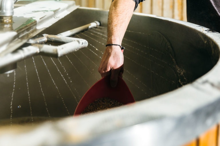 Une personne portant une chemise noire et un bracelet noir verse des grains d’un récipient rouge dans une grande cuve de brassage en métal à la Brasserie Gasconha à Pessac. Le bras de la personne est tendu, tenant le récipient au-dessus du liquide bouillonnant à l’intérieur de la cuve, probablement dans le cadre d’un processus de brassage dans cet environnement industriel.