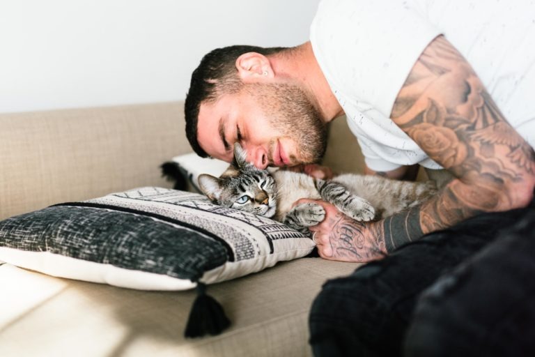 Un homme tatoué est penché sur un canapé beige, la tête posée sur un coussin à motifs. Il tient délicatement un chat tigré gris et duveteux qui est allongé sur le canapé comme s'il avait subi un coup de foudre au feu rouge. L'arrière-plan est simple et de couleur claire, attirant l'attention sur les deux sujets.