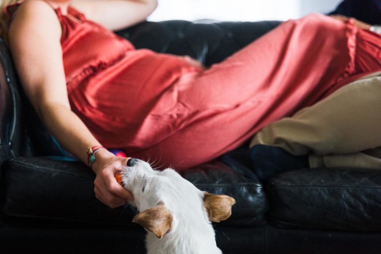 Une personne vêtue d'une robe rouge sans manches est allongée sur un canapé en cuir noir, son bras gauche tendu vers le bas pour caresser un petit chien blanc aux oreilles marron. La tête du chien est levée vers sa main. Le visage de la personne est hors du cadre, les jambes croisées, représentant un moment serein d'attente dans un intérieur chaleureux.