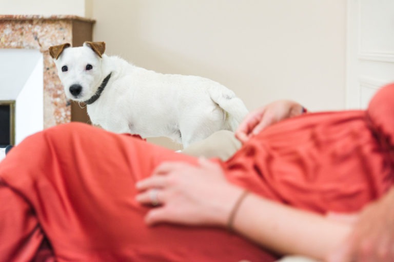 Un petit chien blanc aux taches brunes sur les oreilles se tient près d'une cheminée, regardant vers la caméra. Au premier plan, une personne vêtue d'une robe orange est assise, son ventre de femme enceinte visible et bercé par ses mains, dans l'attente impatiente de la naissance du bébé. L'arrière-plan présente des murs de couleur claire et un décor minimaliste.