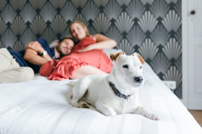 Un petit chien blanc aux taches brunes est allongé sur un lit, le regard perdu dans le vide. En arrière-plan flou, un couple, dont la femme en robe orange montre un ventre rond, est allongé sur le lit, s'embrassant en attendant la naissance du bébé. La pièce est décorée de papier peint à motifs et une porte blanche est partiellement visible à droite.