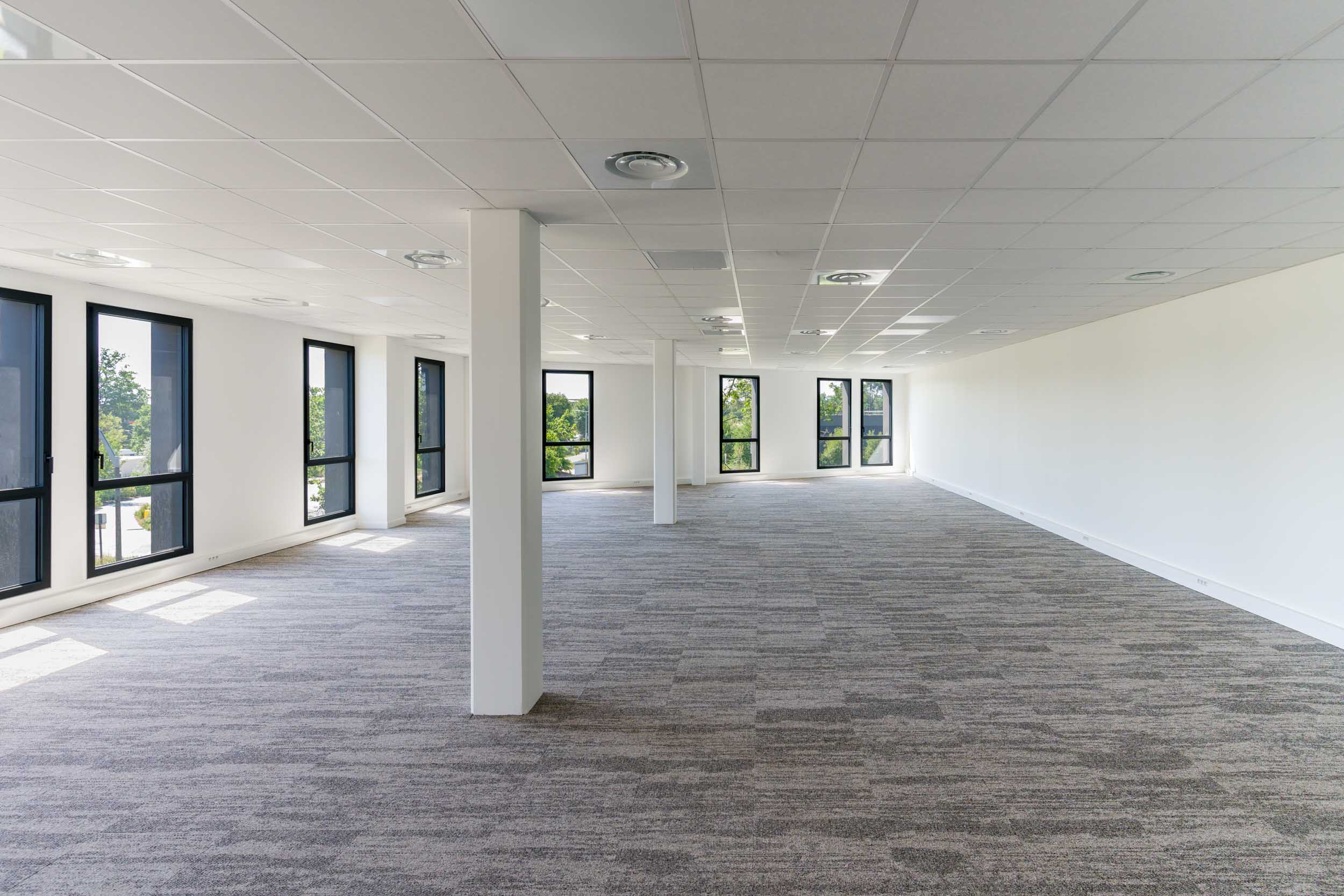 Un bureau spacieux et vide avec de larges fenêtres laissant entrer la lumière naturelle. La pièce est dotée d'un tapis de couleur claire, de murs blancs et d'un plafond suspendu à motifs quadrillés avec éclairage encastré. Plusieurs colonnes soutiennent la structure et les fenêtres offrent une vue sur la verdure extérieure, une toile pour tout photographe d'architecture.