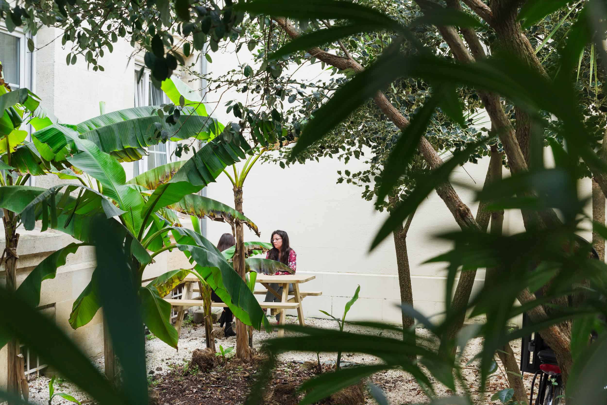 Deux personnes sont assises à une table en bois dans une cour luxuriante entourée de grandes feuilles vertes et d'arbres. L'une des personnes fait face à la caméra tout en discutant. Des bâtiments aux murs et aux fenêtres blancs, rappelant le charme architectural de Bordeaux, forment la toile de fond tandis que la lumière du soleil illumine doucement la scène à travers le feuillage.